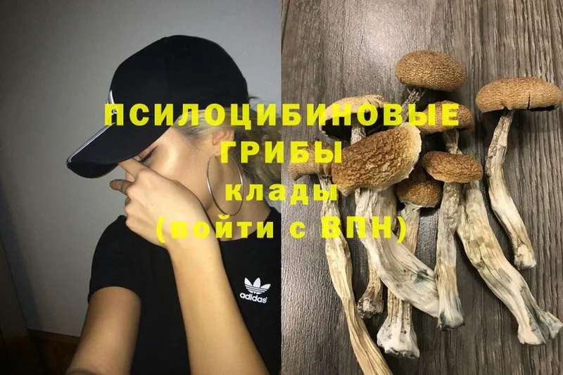 Псилоцибиновые грибы ЛСД  Киреевск 